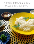 美濃焼とちり丸皿(L)黄色