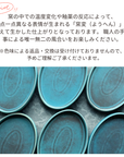 【アウトレット】【slow greenコラボ】美濃焼 / オーバルプレート 21cm / トルコブルー【30%OFF】