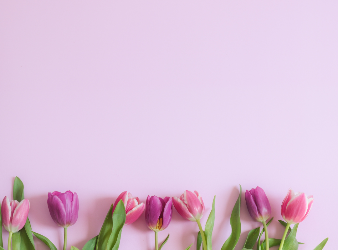 Spring collection