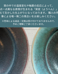 【slow greenコラボ】  美濃焼 / リムボウル（L）22.5cm / トルコブルー