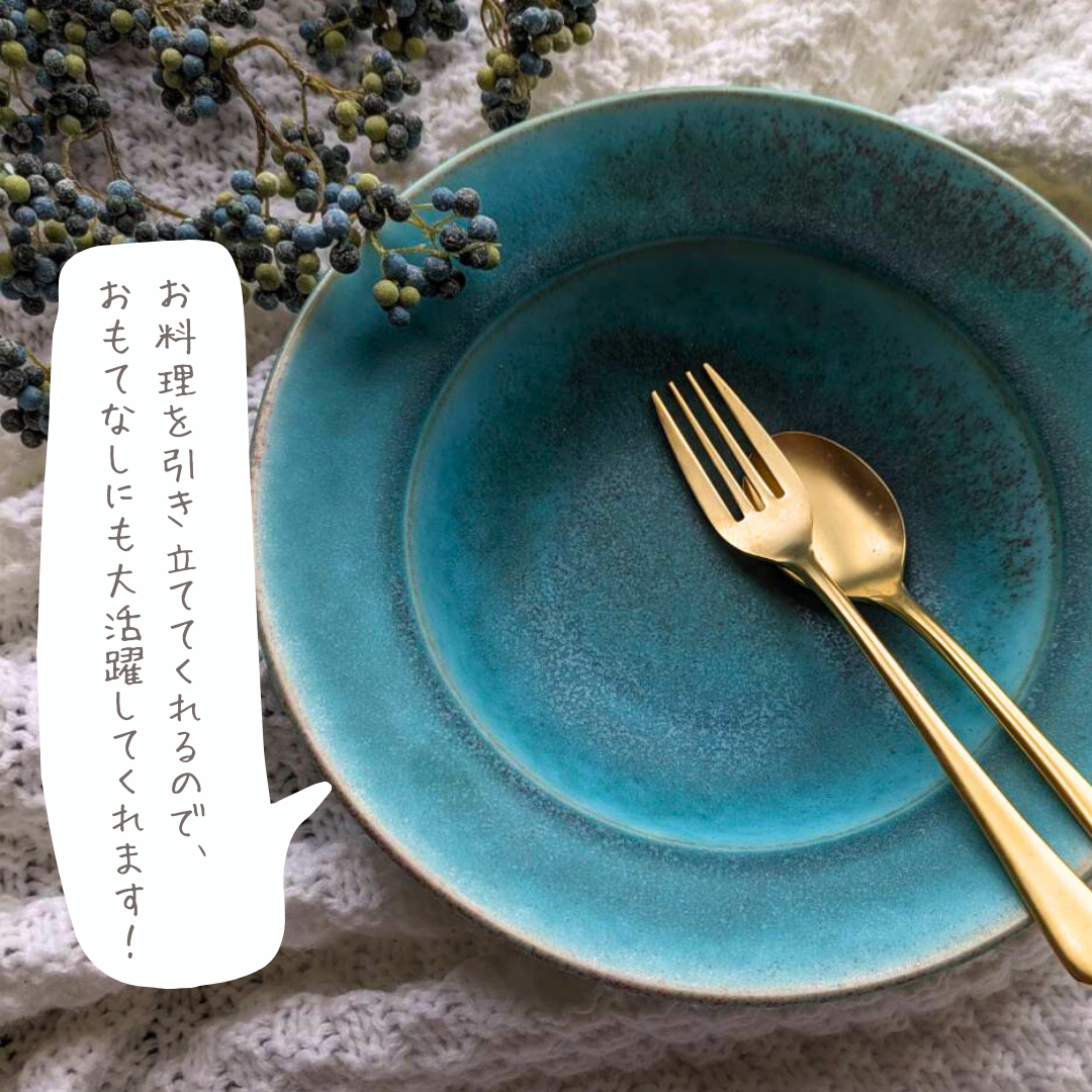 slow greenコラボ】 美濃焼 / リムボウル（L）22.5cm / トルコブルー