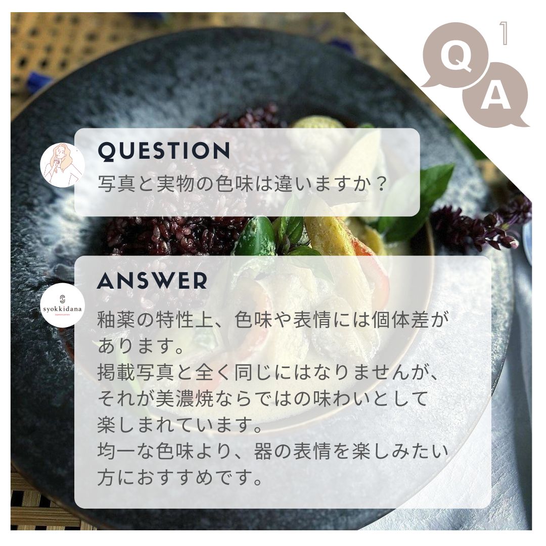 【予約販売】 美濃焼 KUJAKU / ウェブ皿 24cm