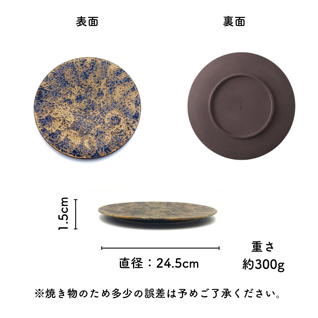 Bohlin1920 美濃焼 魯山人写し 皿 美品 2セット 10枚 美濃焼NOBLE GOLD 丸皿