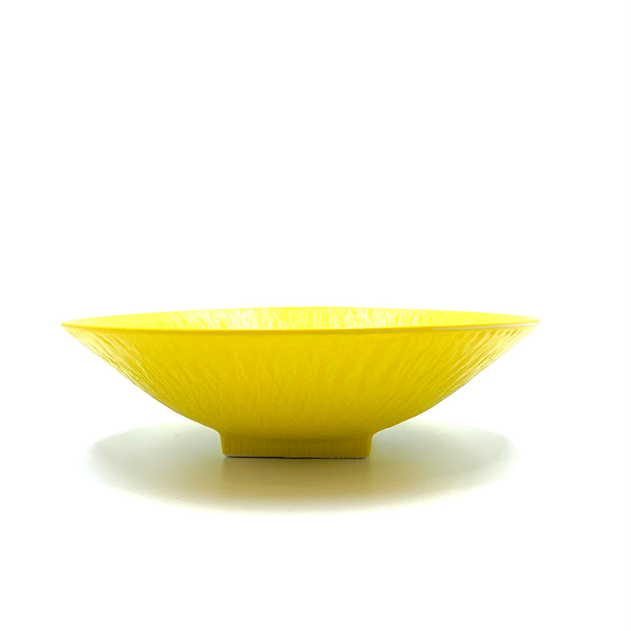 【予約販売】美濃焼■とちり丸皿（中）■黄色
