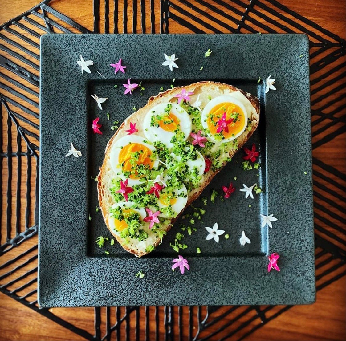 おしゃれな食器専門店『syokkidana』 美濃焼□四角皿□黒結晶